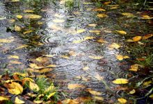 کاهش ۷۷ درصدی بارش‌ها در تهران