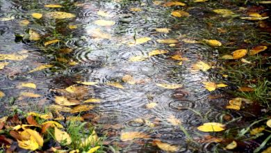 کاهش ۷۷ درصدی بارش‌ها در تهران