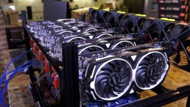 کشف ۱۲۴۵ ماینر غیرمجاز در هرمزگان / برخورد قاطع با استخراج‌کنندگان غیرمجاز ارز دیجیتال