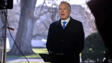 ورود ویتکاف