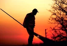 اشتغال ۱۰۰۰ کارگر ایرانی در طرح جایگزینی اتباع برای جمع‌آوری پسماند