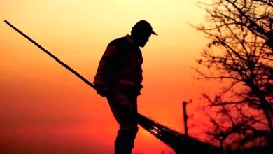 اشتغال ۱۰۰۰ کارگر ایرانی در طرح جایگزینی اتباع برای جمع‌آوری پسماند