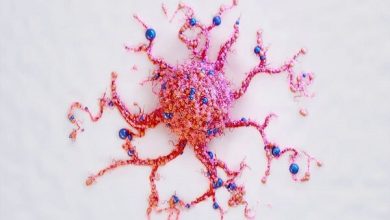 امیدهای تازه‌ برای درمان سرطان‌های مغزی