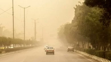 وزش باد شدید و گرد و خاک در ۶ استان