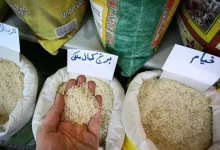 سقوط ۲۵ درصدی قیمت برنج؛ نرخ برنج پاکستانی به ۱۷۰ هزار تومان رسید
