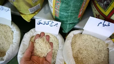 سقوط ۲۵ درصدی قیمت برنج؛ نرخ برنج پاکستانی به ۱۷۰ هزار تومان رسید