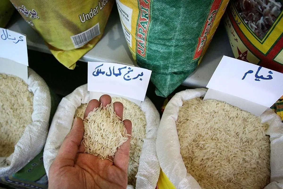 سقوط ۲۵ درصدی قیمت برنج؛ نرخ برنج پاکستانی به ۱۷۰ هزار تومان رسید