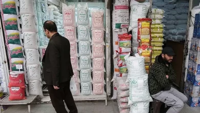 برنج به قیمت نجومی رسید؛ جریمه ۱۲۵ میلیاردی برای سودجویان زالو صفت