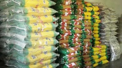 رئیس جهاد کشاورزی تهران: برنج هندی ۱۶۱ هزار تومانی و پاکستانی ۱۵۱ هزار تومانی عرضه می‌شود