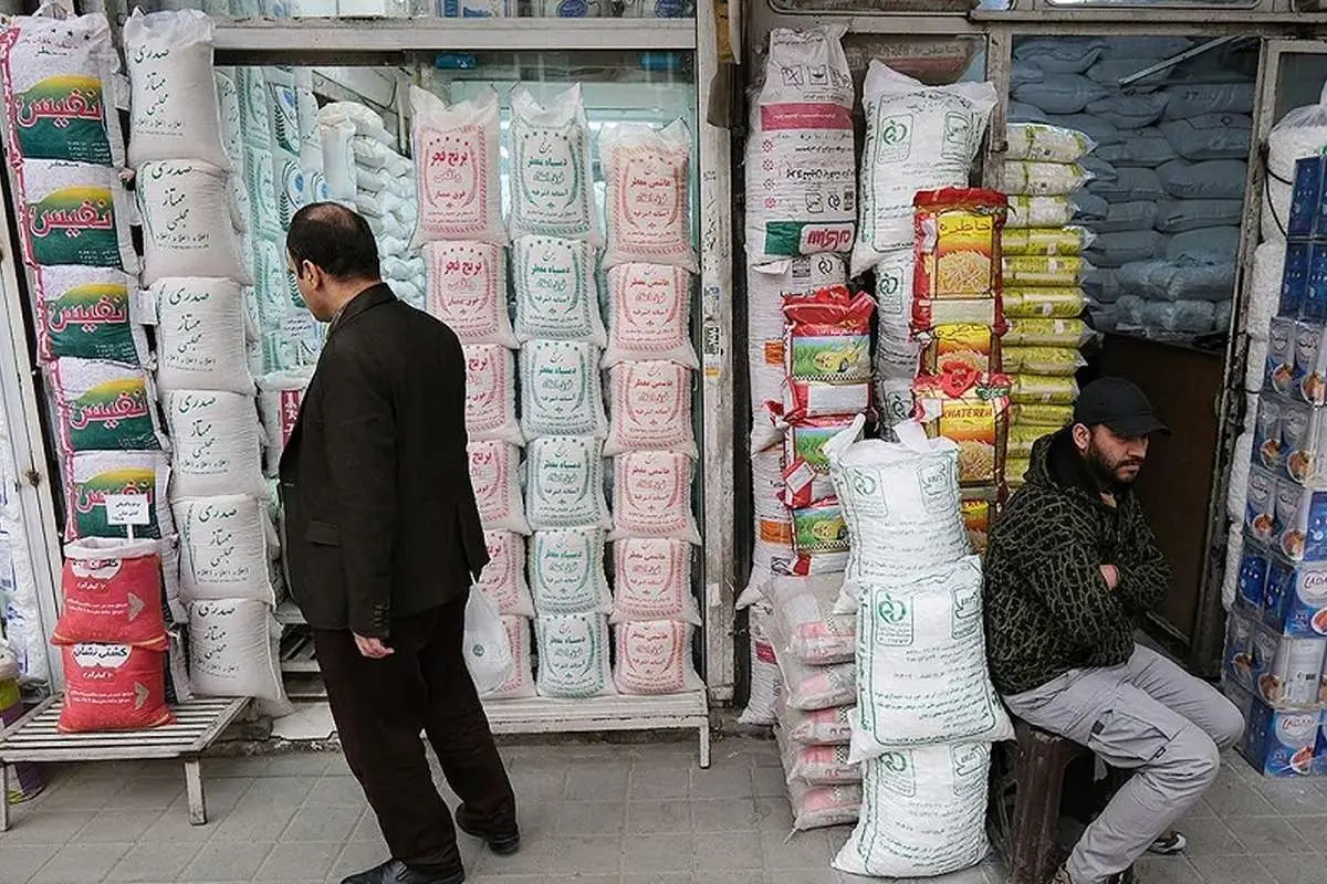 برنج به قیمت نجومی رسید؛ جریمه ۱۲۵ میلیاردی برای سودجویان زالو صفت