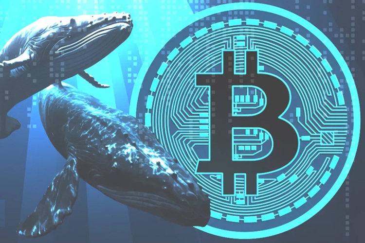 قیمت بیت‌کوین