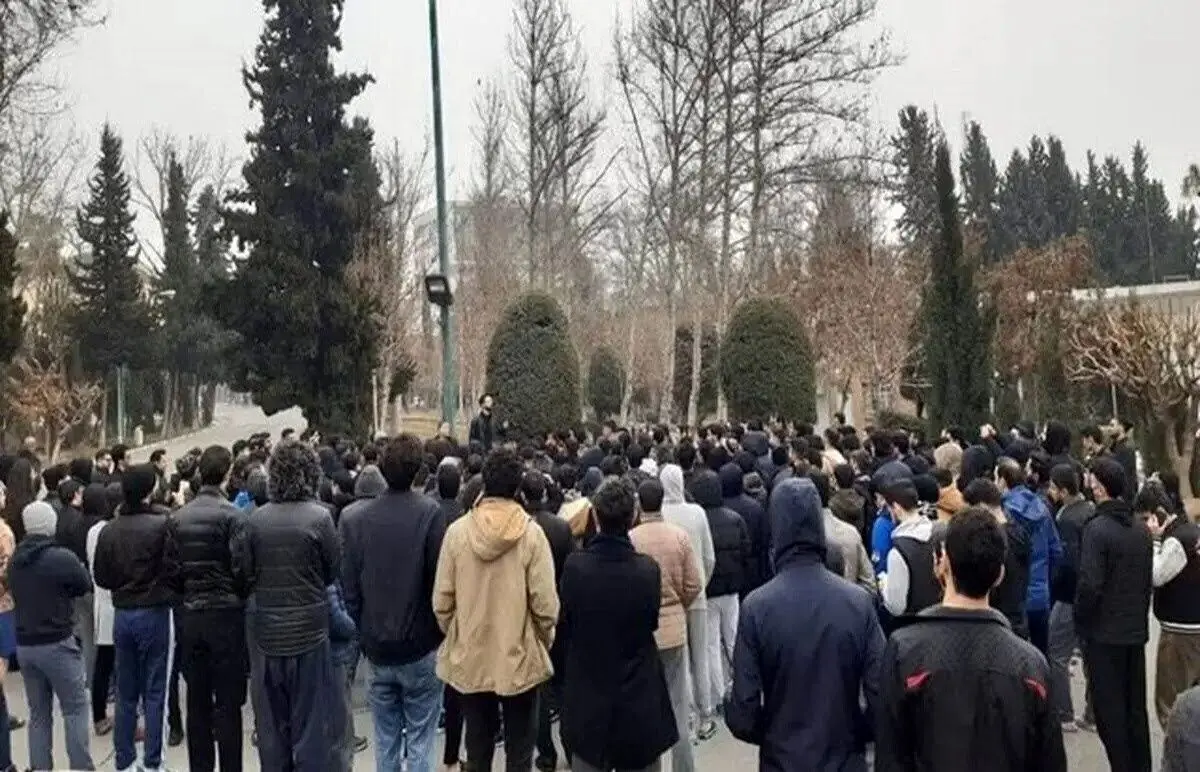 دانشگاه‌ها