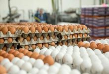تخم‌مرغ در فروشگاه‌ و خرده‌فروشی‌ با قیمت‌های متفاوت!