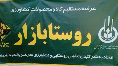 تعاونی های روستایی وارد شبکه کالابرگ می‌شوند