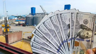 ریال در حال سقوط؛ تورم واردات از مرز ۱۴۷٪ گذشت