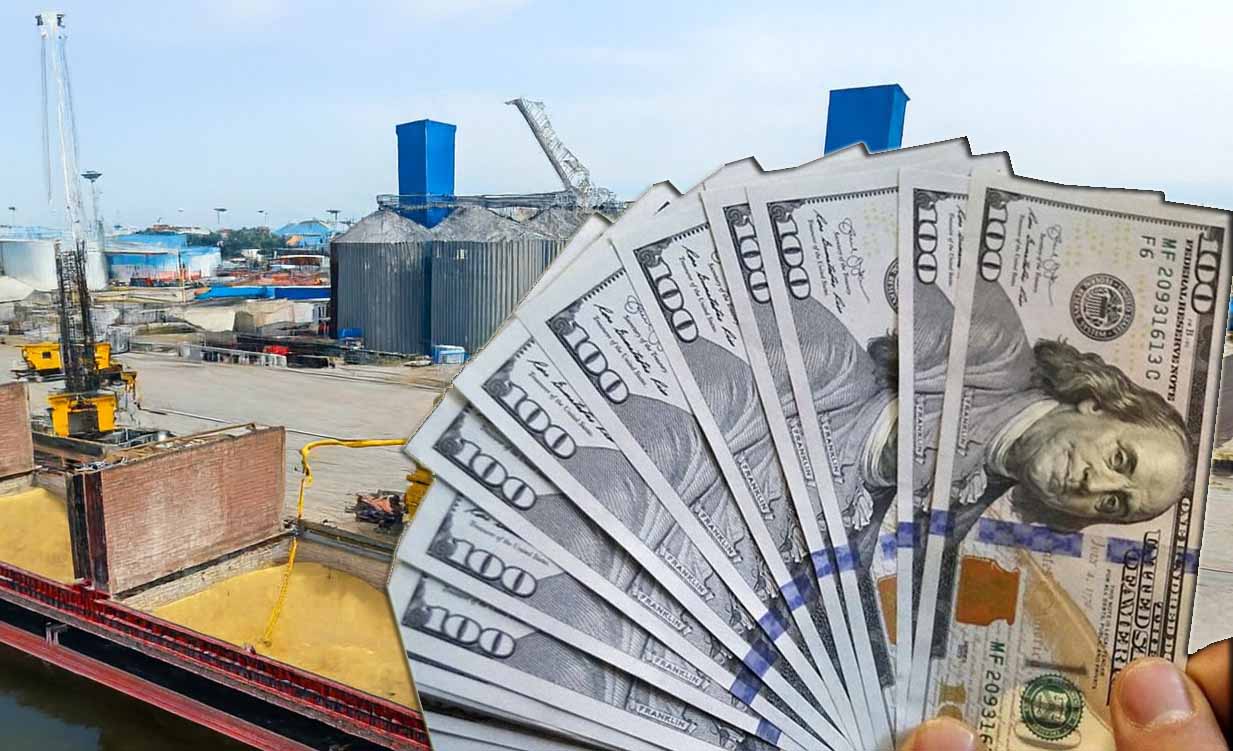 ریال در حال سقوط؛ تورم واردات از مرز ۱۴۷٪ گذشت