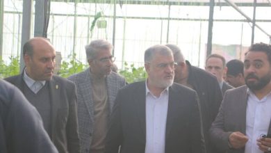 توسعه گلخانه‌ها