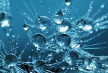 تکنولوژی جدید