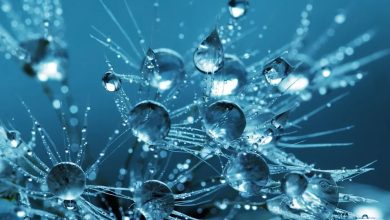 تکنولوژی جدید