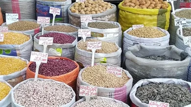 قیمت حبوبات