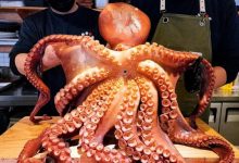 خرچنگ لابستر