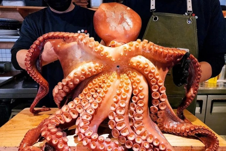 خرچنگ لابستر