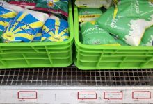 شیر نایلونی هم حساب و کتاب سنگین ماهانه می‌خواهد