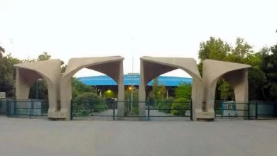 دانشگاه تهران