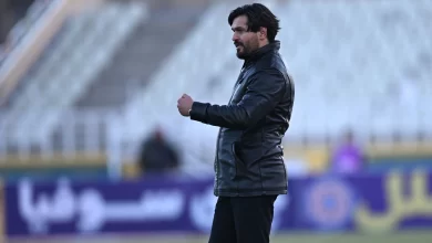 دقیقی گربه سیاه استقلال!