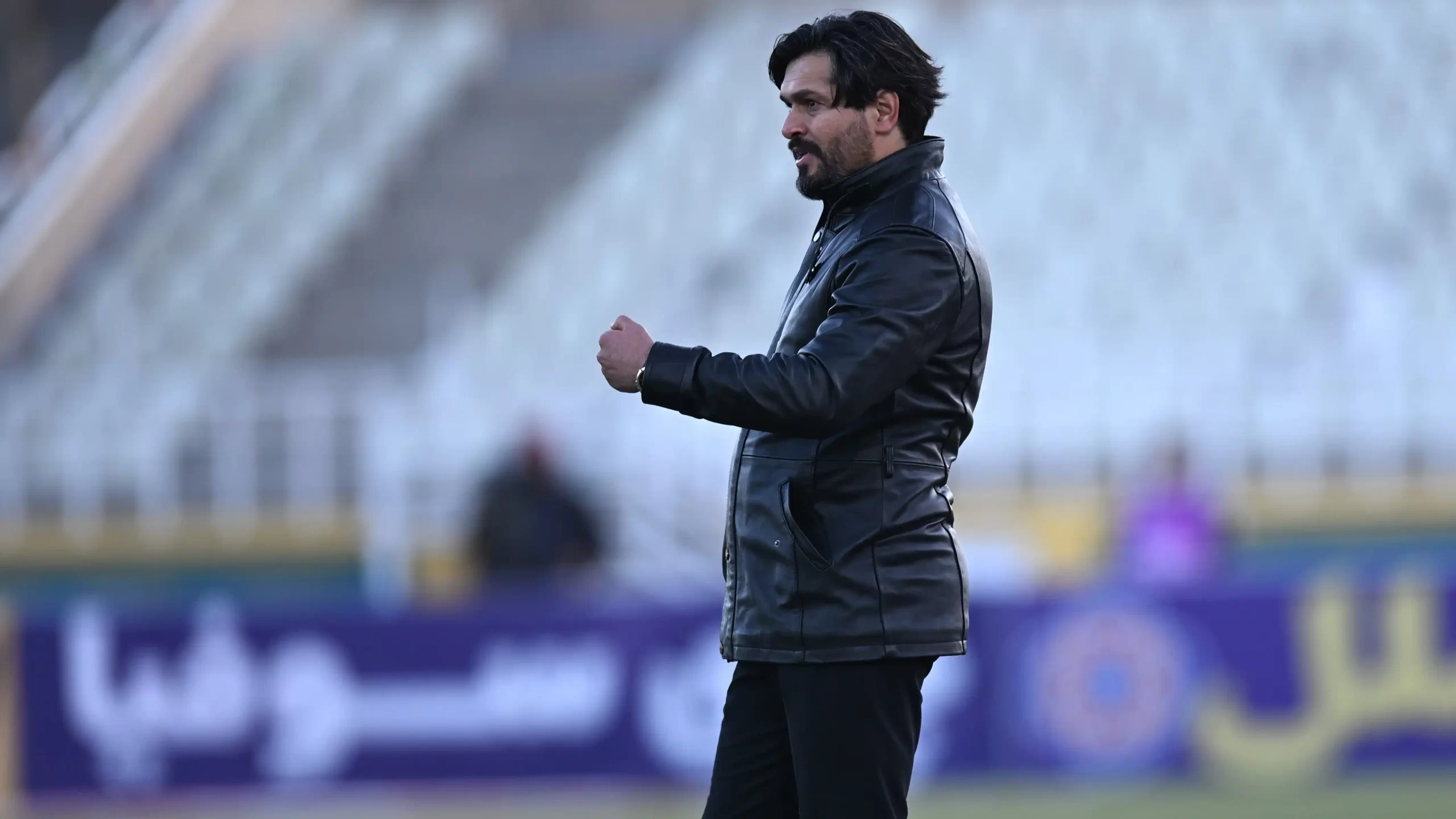 دقیقی گربه سیاه استقلال!