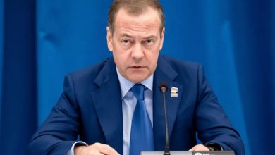 دیمیتری مدودف