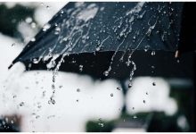 سازمان هواشناسی