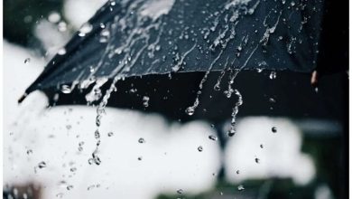 سازمان هواشناسی