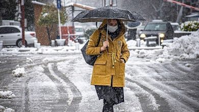 سازمان هواشناسی