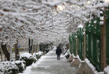 سازمان هواشناسی