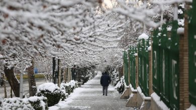 سازمان هواشناسی