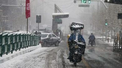 سازمان هواشناسی