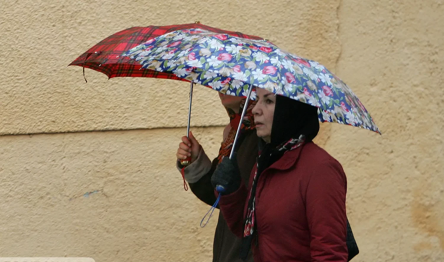 سامانه بارشی