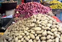 سیب‌زمینی، پیاز و خرما به اقلام کالابرگ اضافه می شود