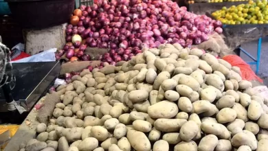 سیب‌زمینی، پیاز و خرما به اقلام کالابرگ اضافه می شود