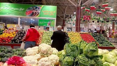 قیمت انواع سبزیجات