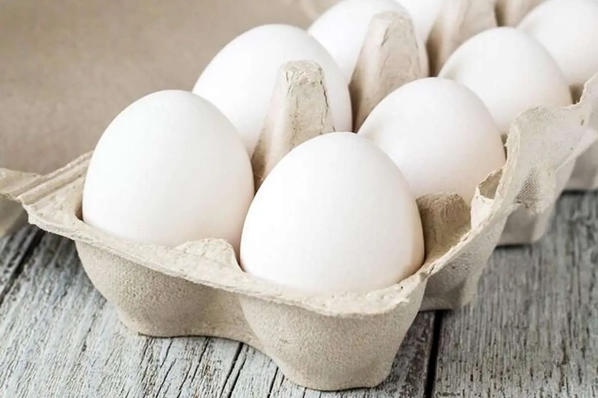 قیمت تخم‌مرغ