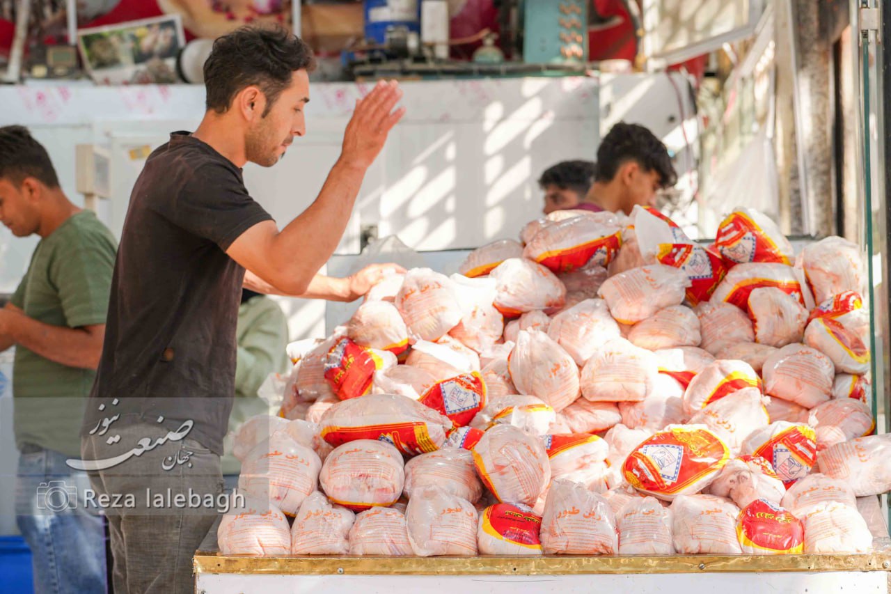 قیمت گوشت مرغ