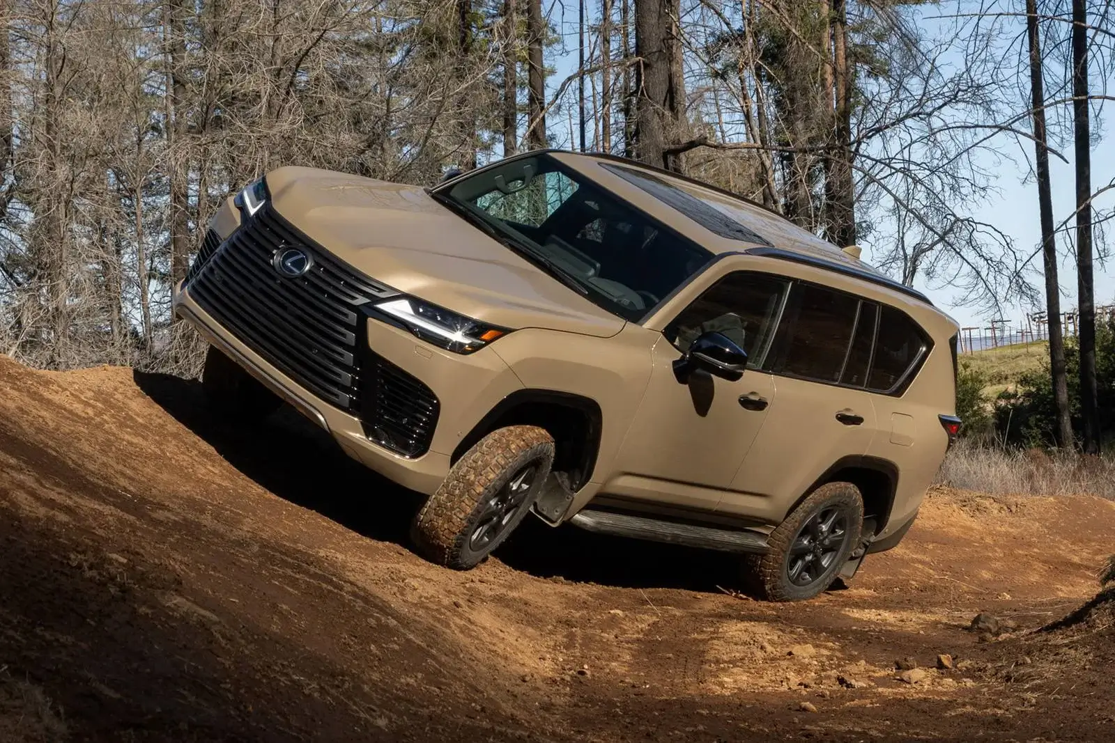 فولآپشن ژاپنی