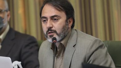 مهدی پیرهادی