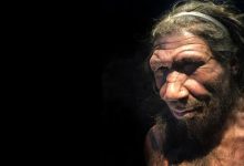 نئاندرتال‌ها