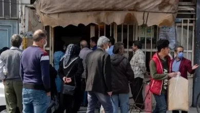 نان یارانه‌ای جایگزین خوراک پرهزینه دام‌ها شد