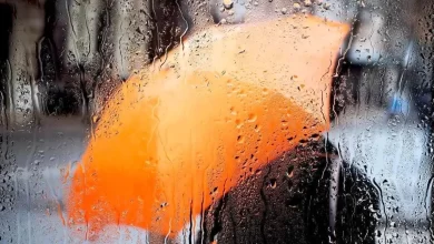 اخطار نارنجی هواشناسی؛ استان‌های غربی در حالت آماده‌باش کامل قرار گرفتند