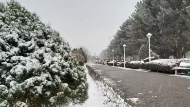 تهران در آستانه یخبندان شدید؛ کاهش محسوس دما از امشب کلید می‌خورد!