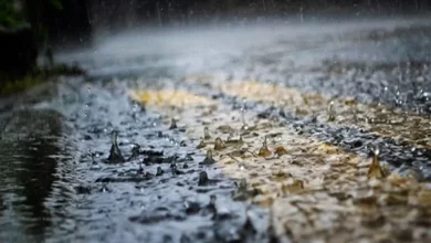 هشدار هواشناسی؛ باران و وزش باد شدید در شمال‌غرب و غرب کشور